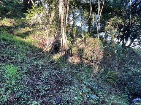 38 Madera Way Mill Valley CA 94901