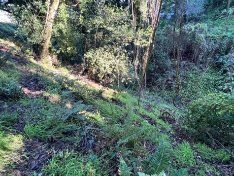 38 Madera Way Mill Valley CA 94901