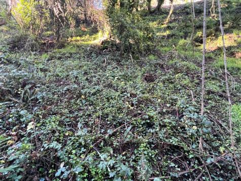 38 Madera Way Mill Valley CA 94901