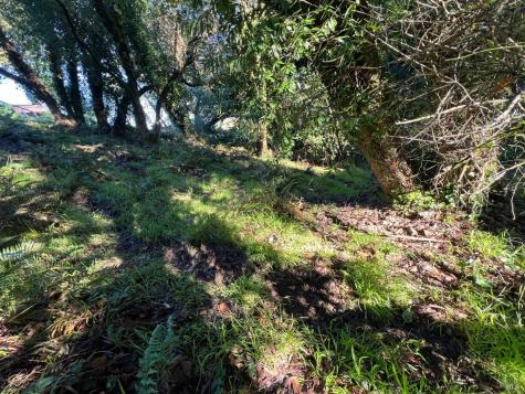 38 Madera Way Mill Valley CA 94901