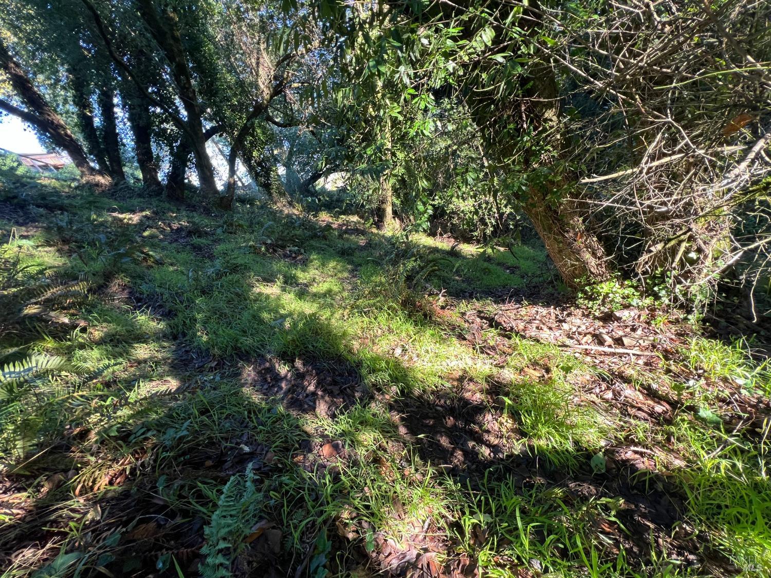 38 Madera Way Mill Valley CA 94901