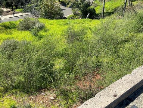 3603 Orbetello Court Santa Rosa CA 95404