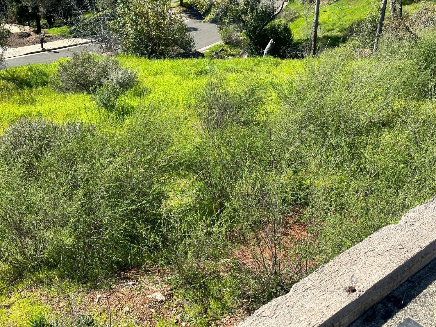 3603 Orbetello Court Santa Rosa CA 95404