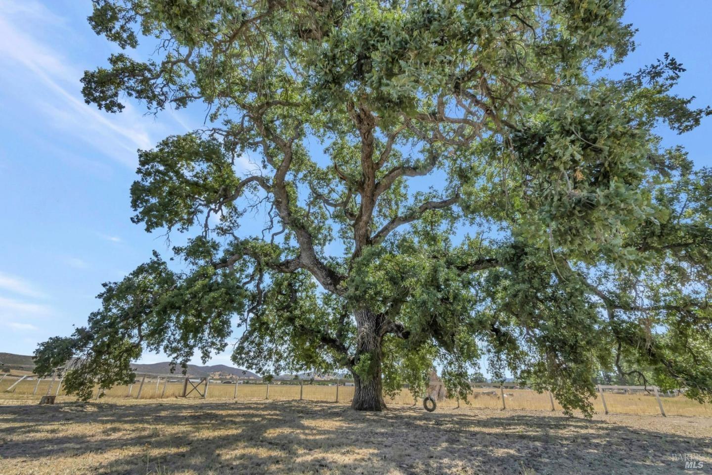 16636 Butts Canyon Road Middletown CA 95461