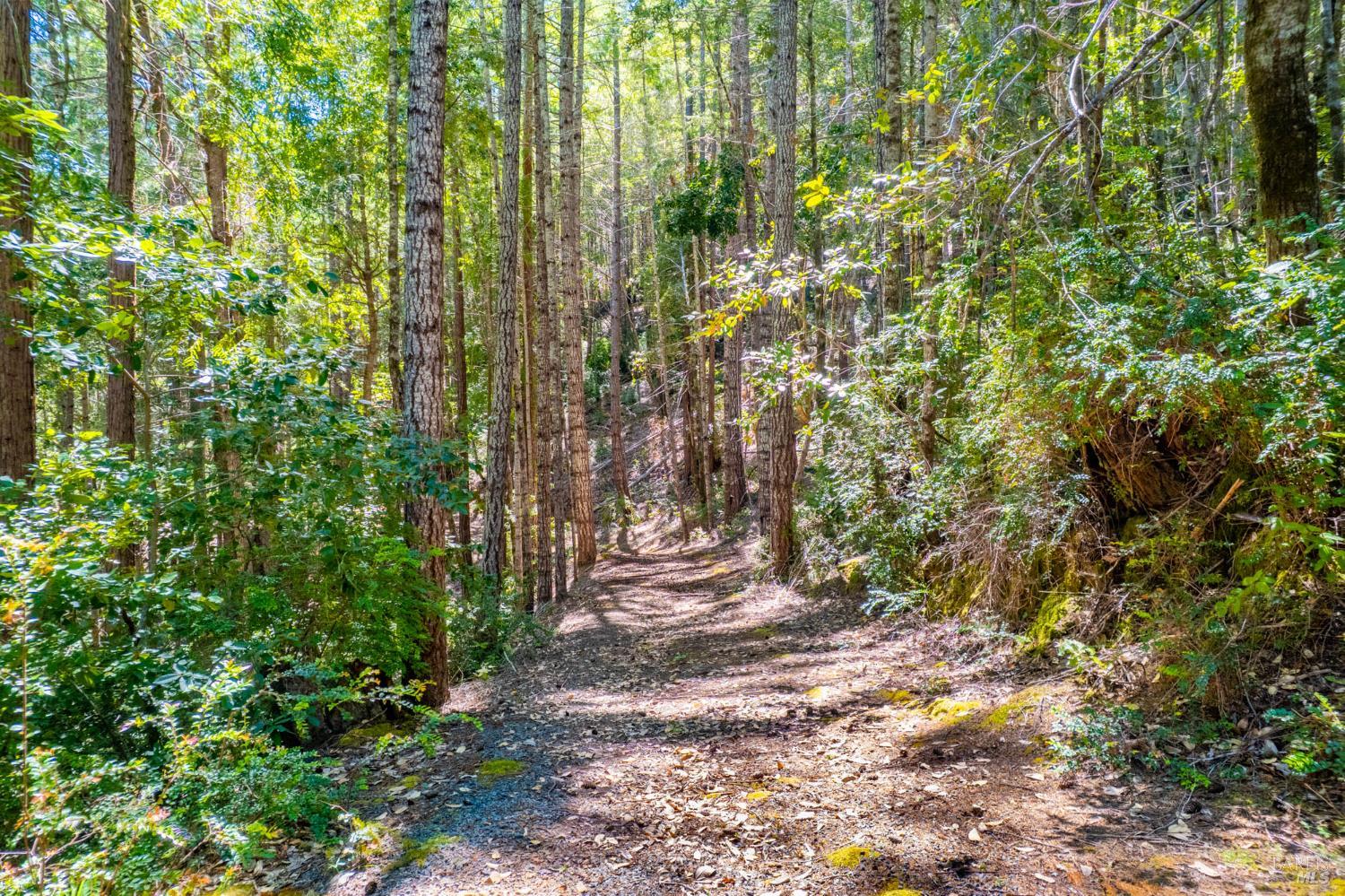 0 16125 Honey Ridge Road Boonville CA 95415