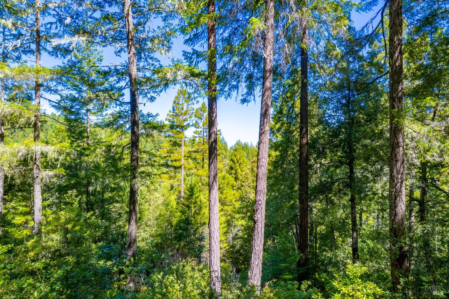 0 16125 Honey Ridge Road Boonville CA 95415