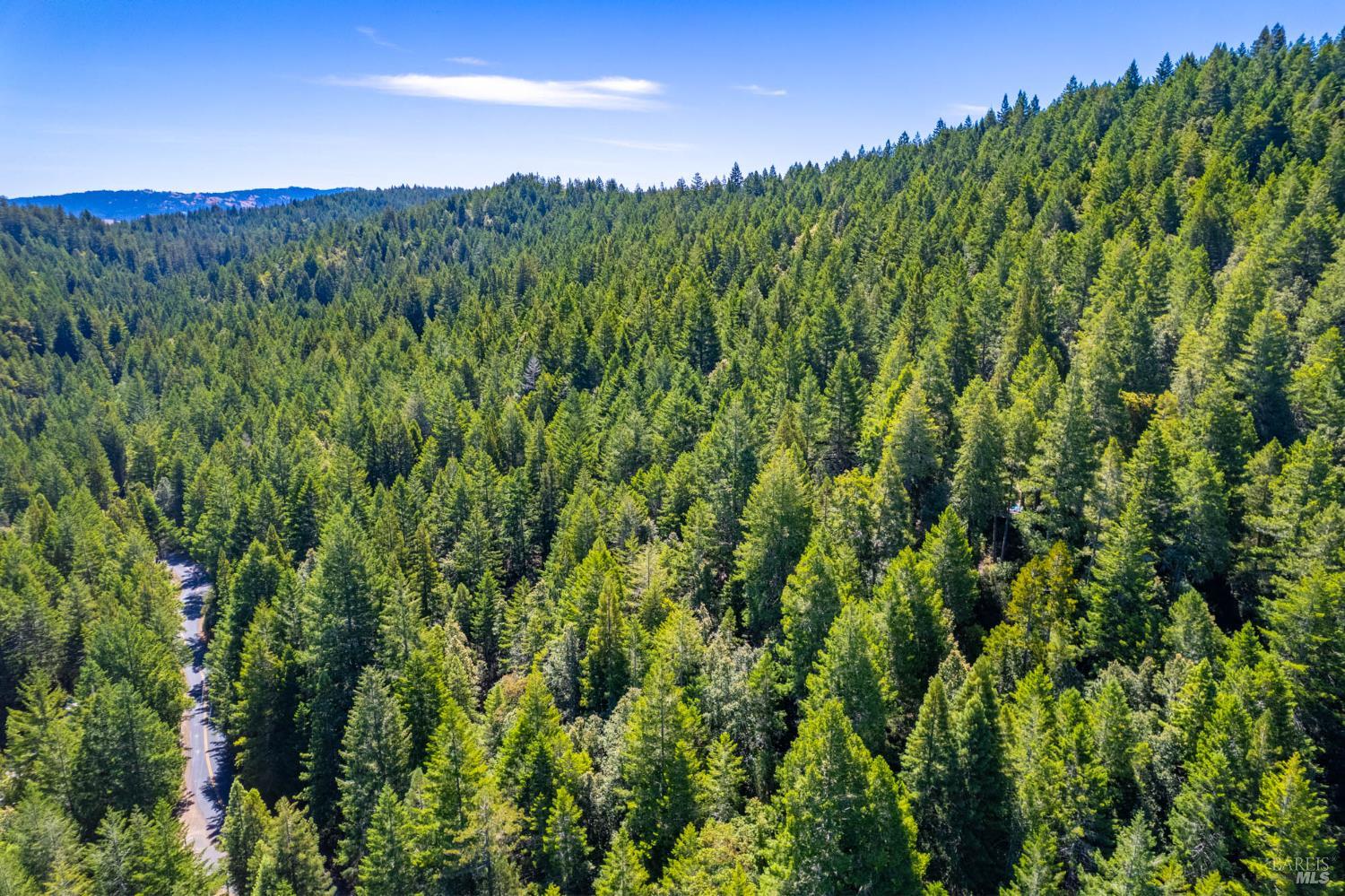 0 16125 Honey Ridge Road Boonville CA 95415