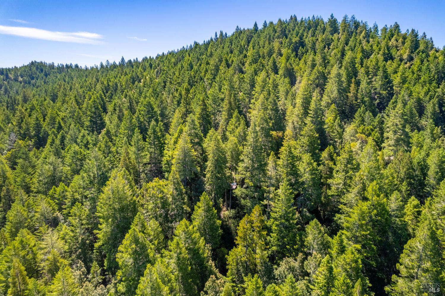 0 16125 Honey Ridge Road Boonville CA 95415