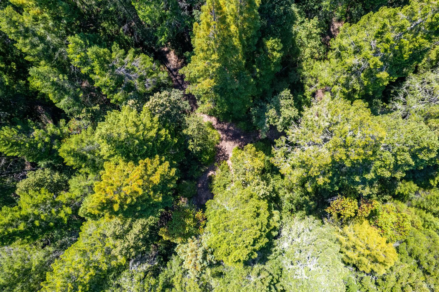 0 16125 Honey Ridge Road Boonville CA 95415