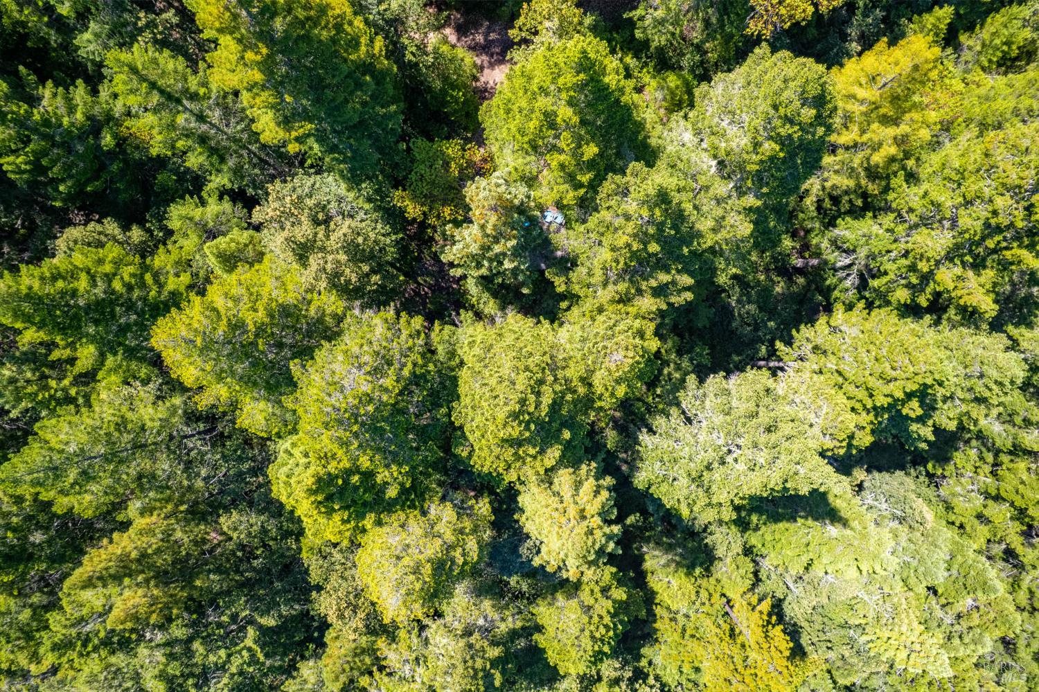 0 16125 Honey Ridge Road Boonville CA 95415