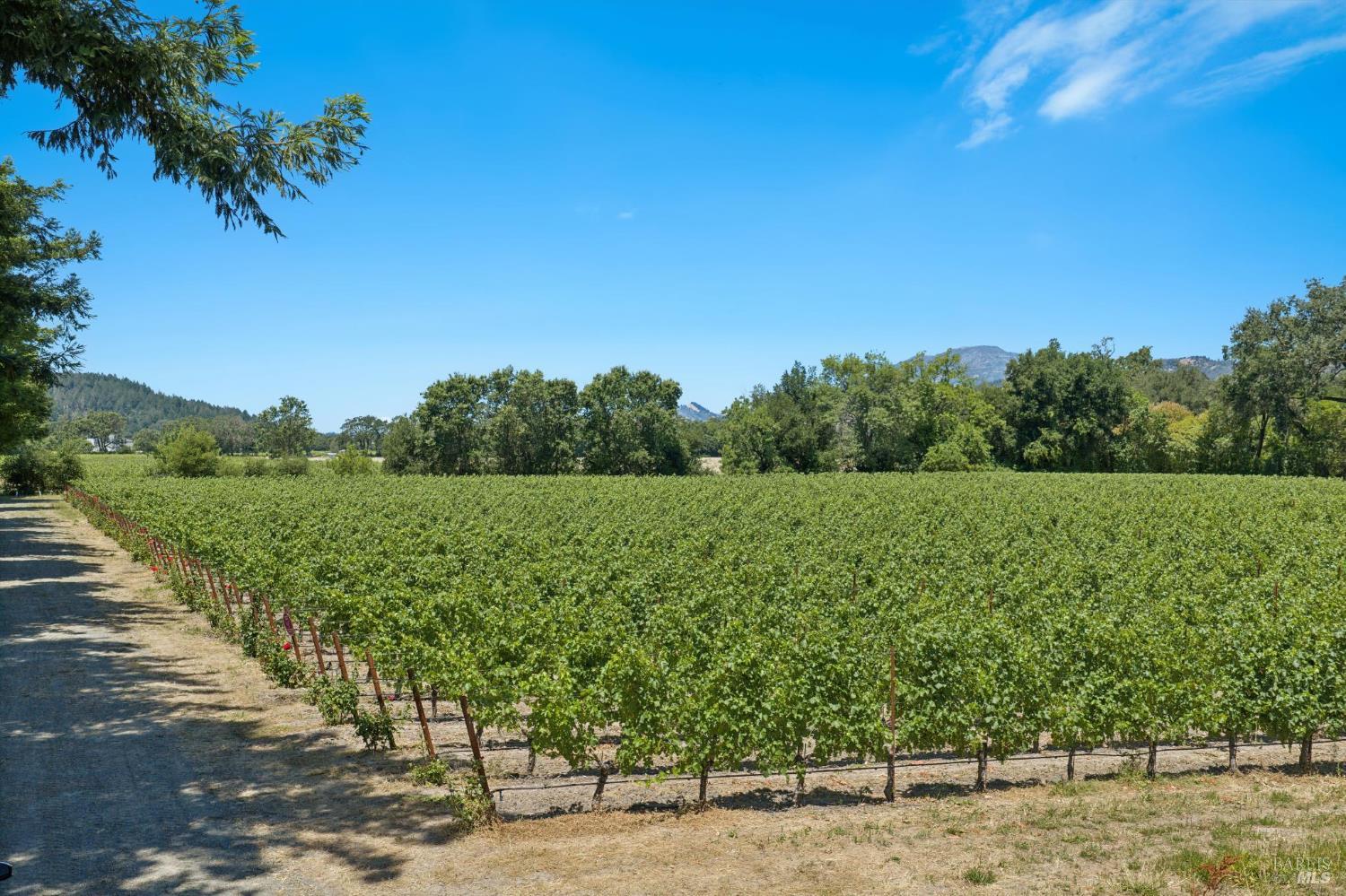 4210 Saint Helena Highway Calistoga CA 94515