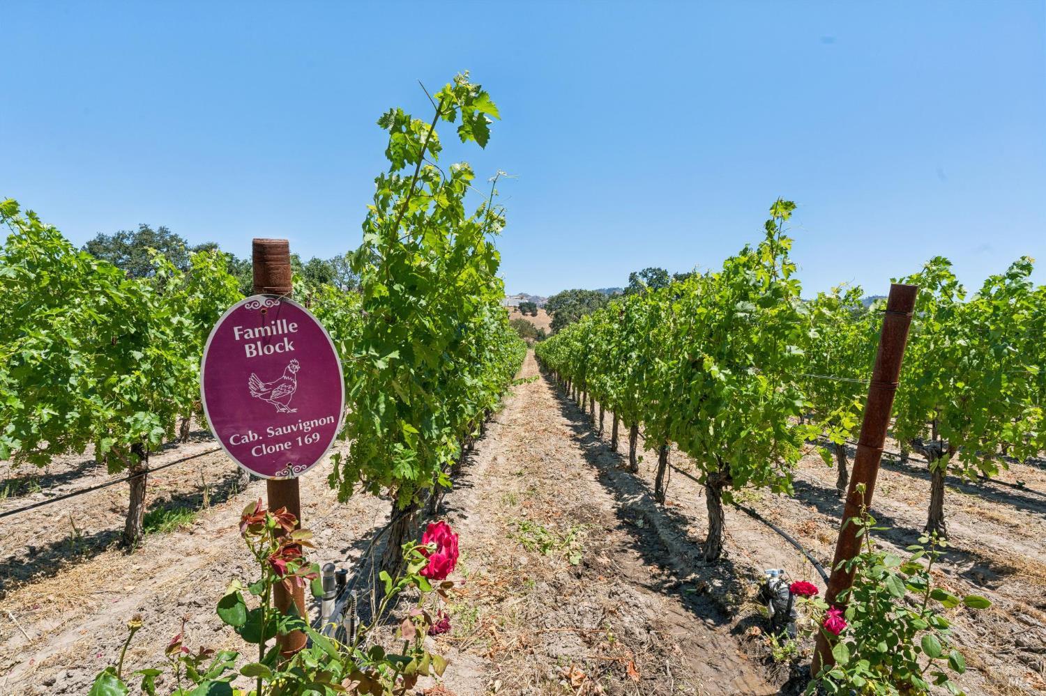 4210 Saint Helena Highway Calistoga CA 94515