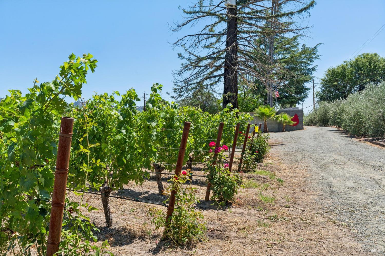 4210 Saint Helena Highway Calistoga CA 94515