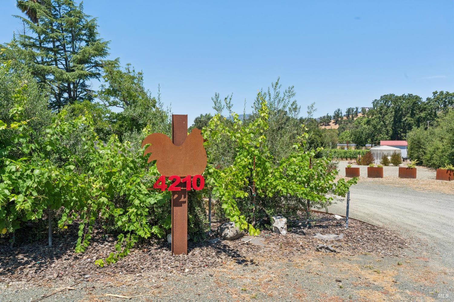 4210 Saint Helena Highway Calistoga CA 94515