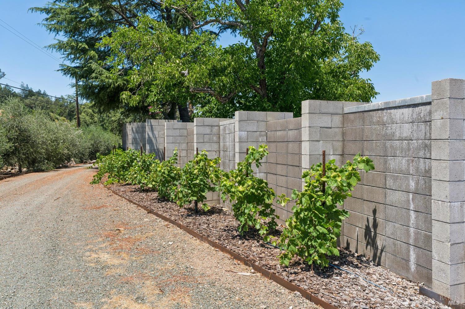 4210 Saint Helena Highway Calistoga CA 94515