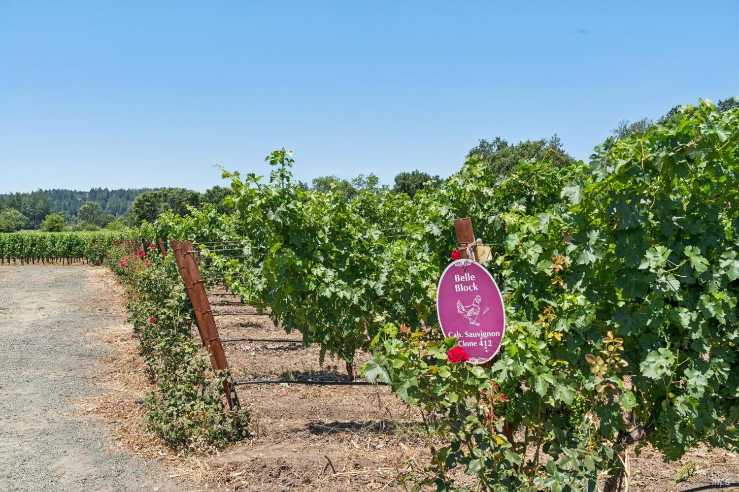 4210 Saint Helena Highway Calistoga CA 94515
