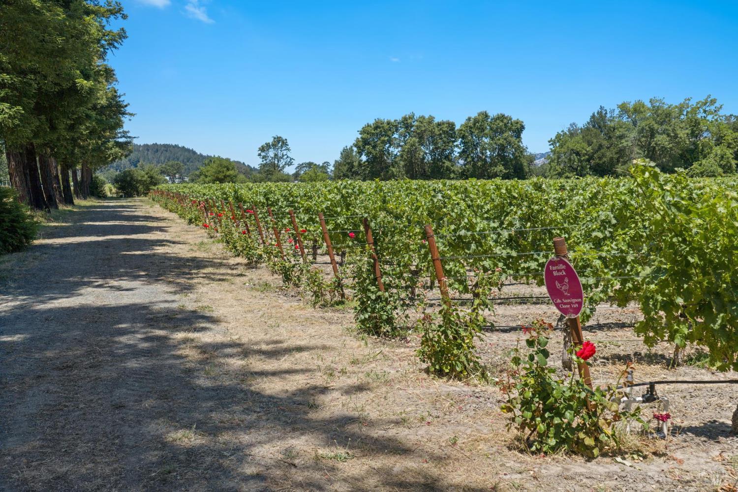 4210 Saint Helena Highway Calistoga CA 94515
