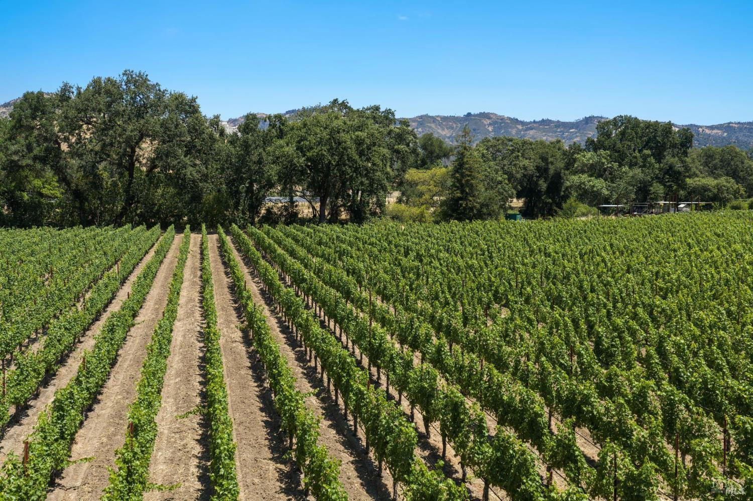 4210 Saint Helena Highway Calistoga CA 94515