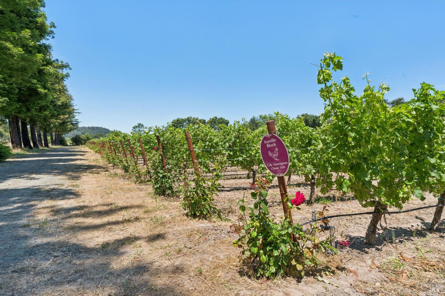 4210 Saint Helena Highway Calistoga CA 94515