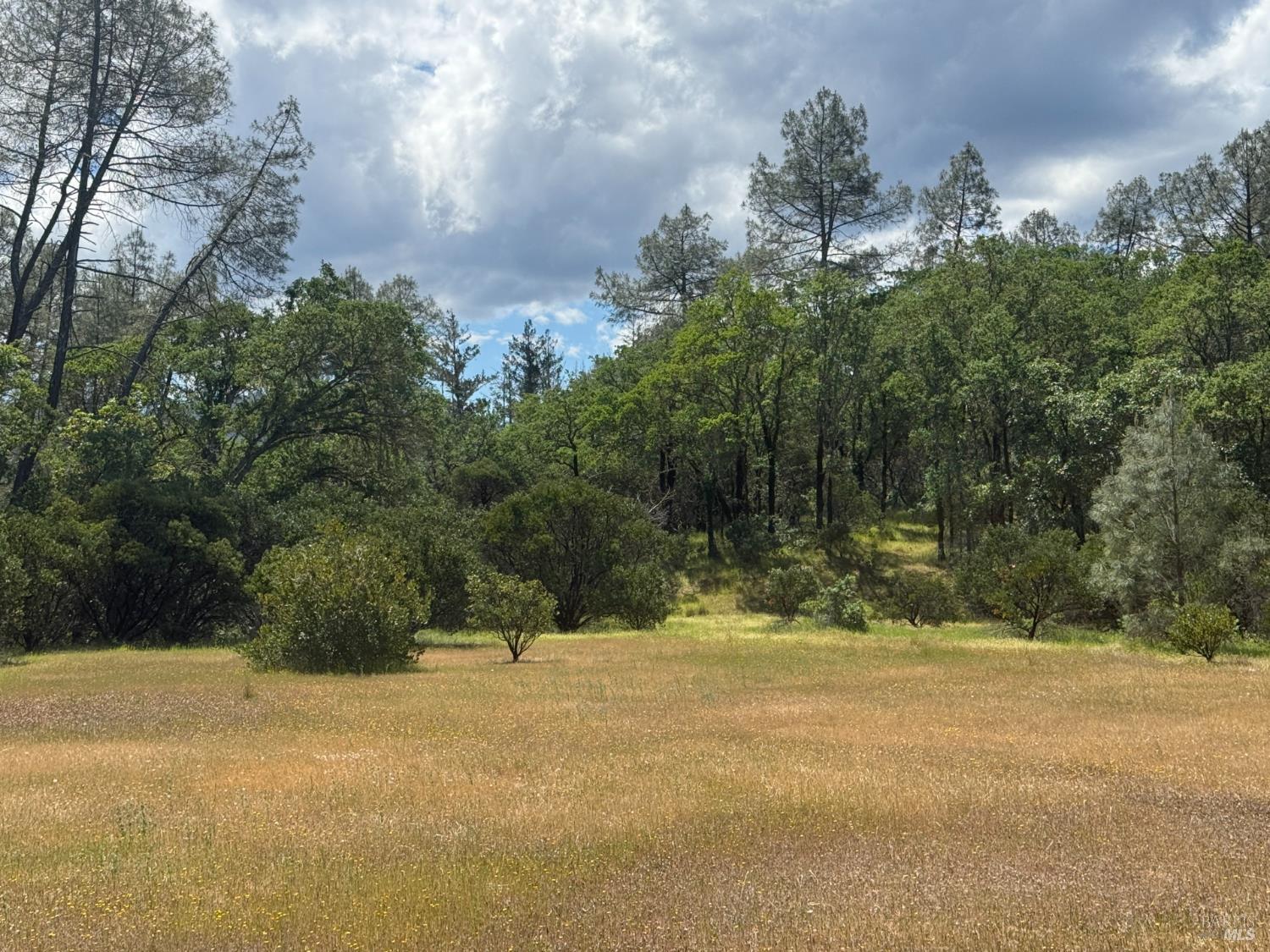 23889 Walling Road Geyserville CA 95441