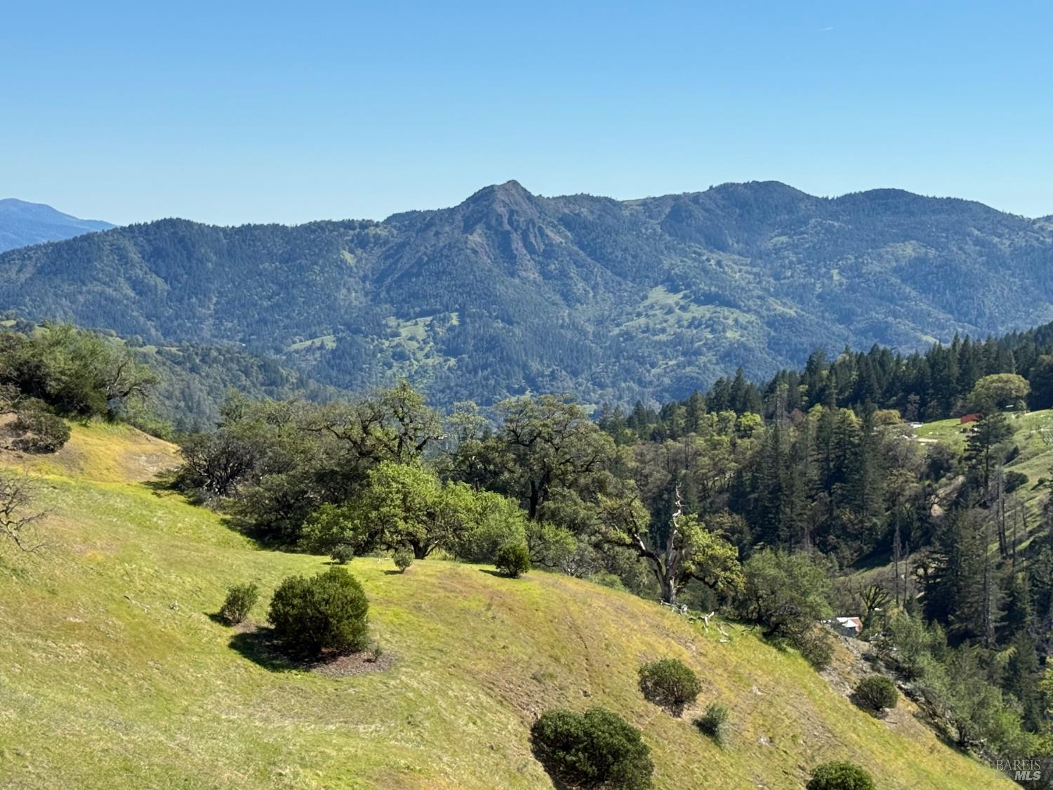 8001 Simmerly Road Laytonville CA 95454