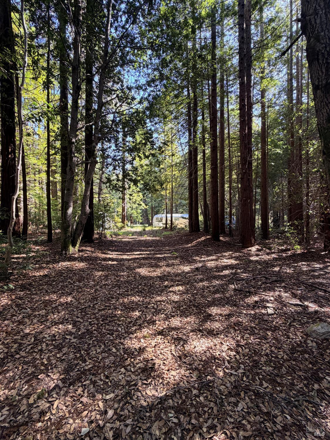 45400 Bill Owens Road Point Arena CA 95468