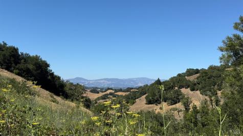 2365 Sweetwater Springs Road Healdsburg CA 95448