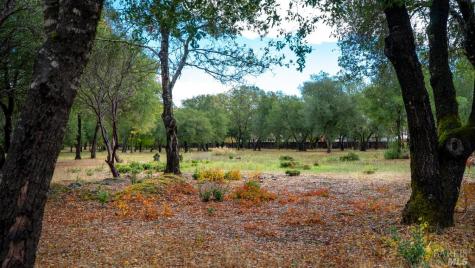 593 W 2nd Street Cloverdale CA 95425