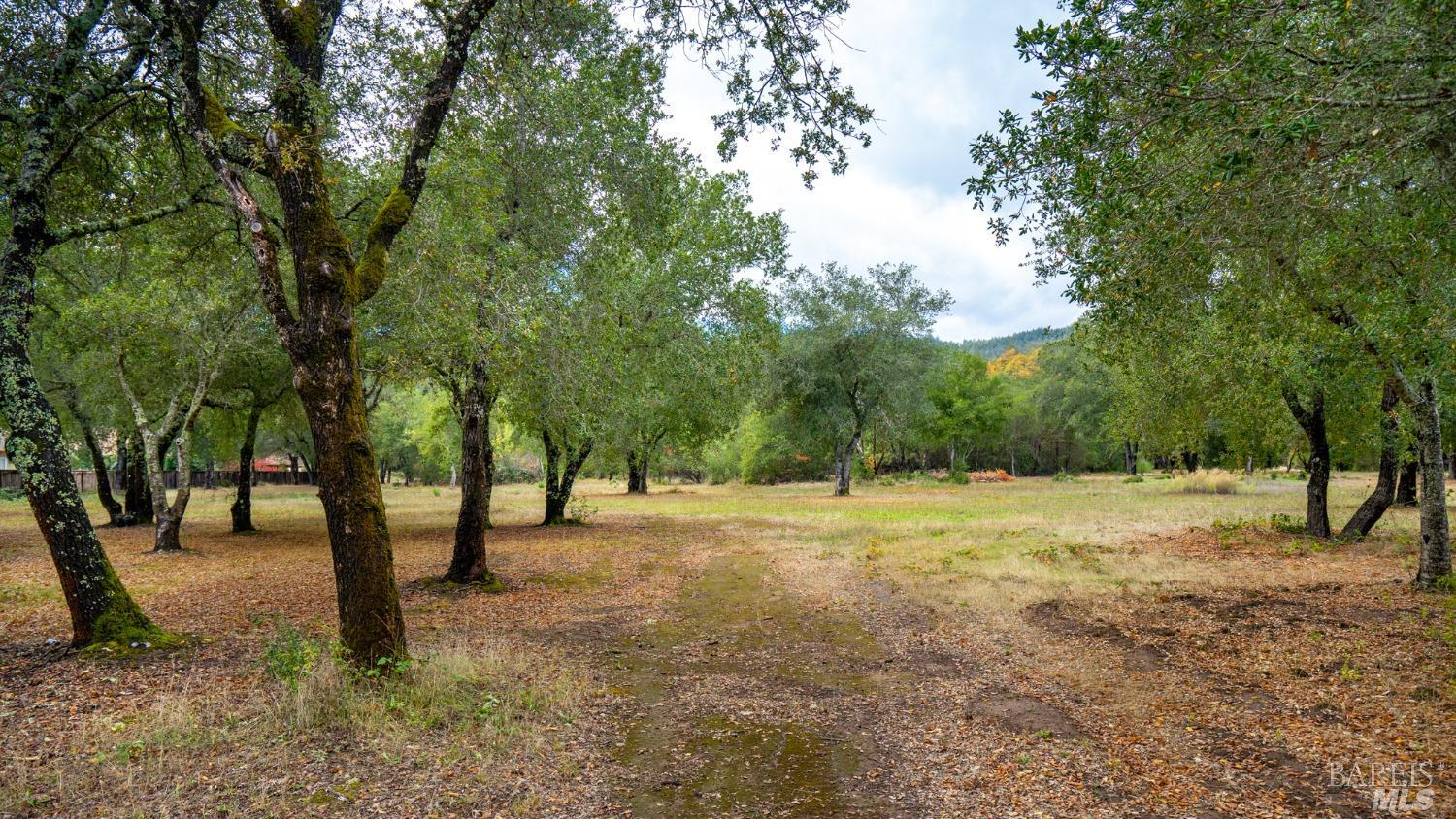 593 W 2nd Street Cloverdale CA 95425