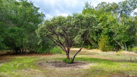 593 W 2nd Street Cloverdale CA 95425