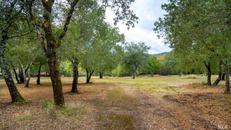 593 W 2nd Street Cloverdale CA 95425