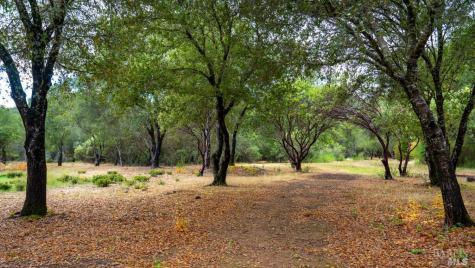 593 W 2nd Street Cloverdale CA 95425