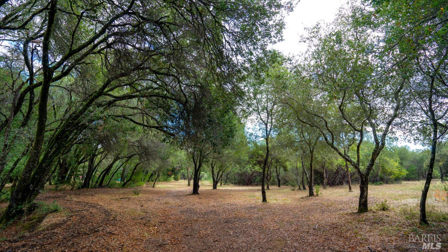 593 W 2nd Street Cloverdale CA 95425