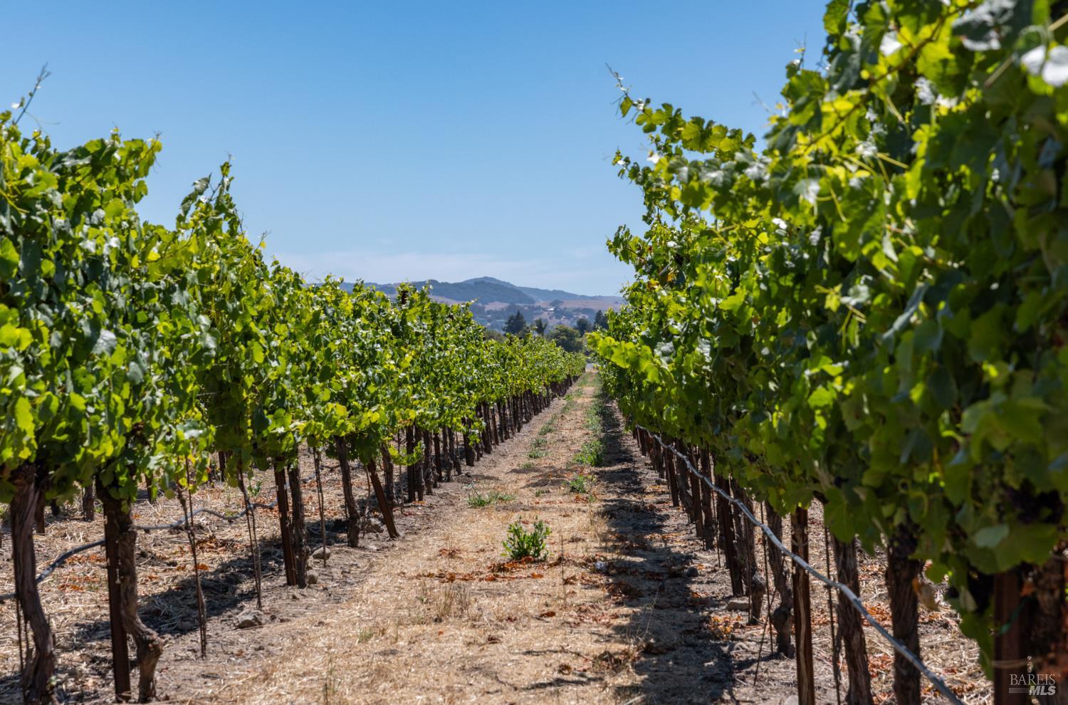 3066 Old Adobe Road Petaluma CA 94954