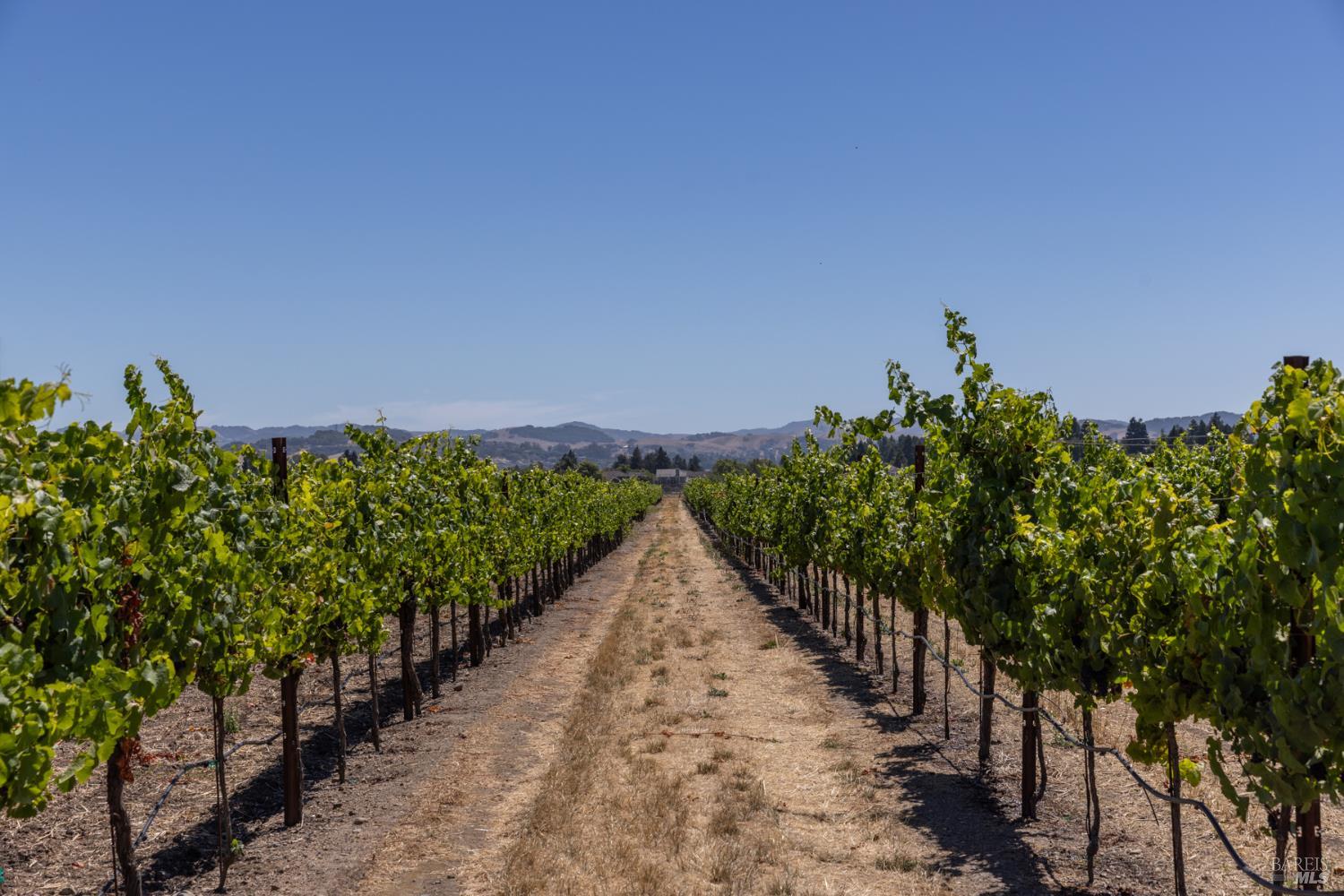 3066 Old Adobe Road Petaluma CA 94954