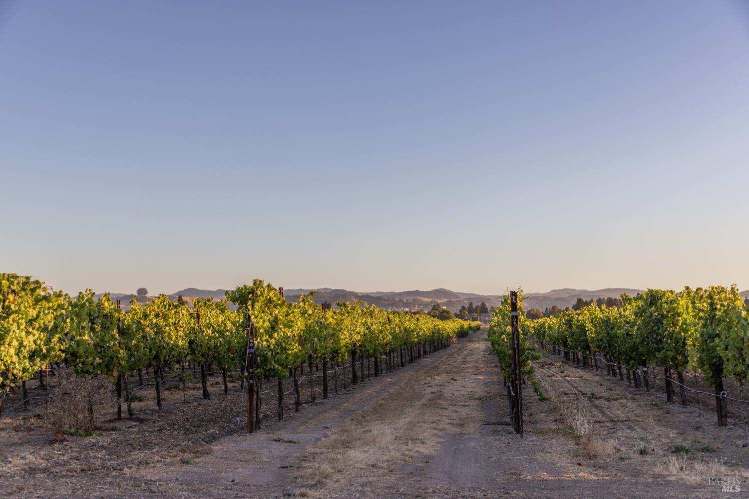3066 Old Adobe Road Petaluma CA 94954