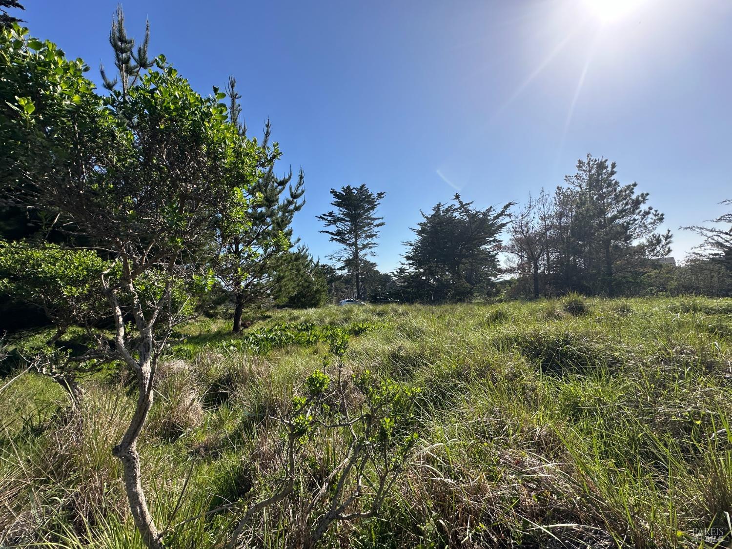 135 Shepherds Close The Sea Ranch CA 95497