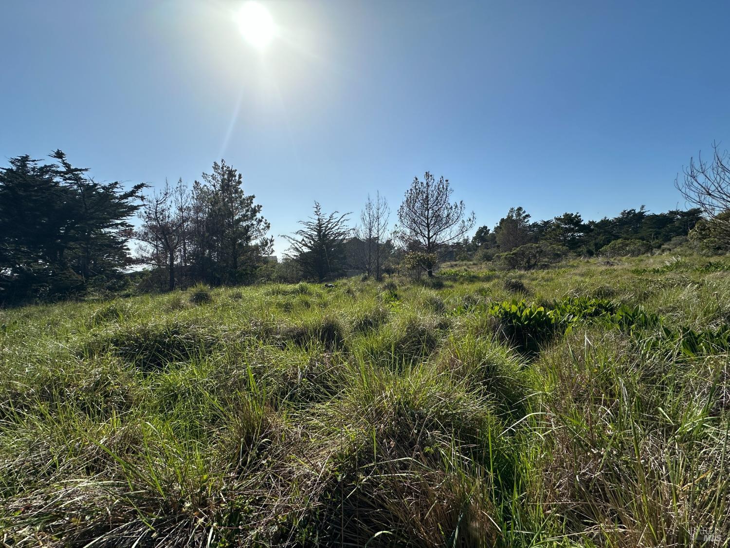 135 Shepherds Close The Sea Ranch CA 95497