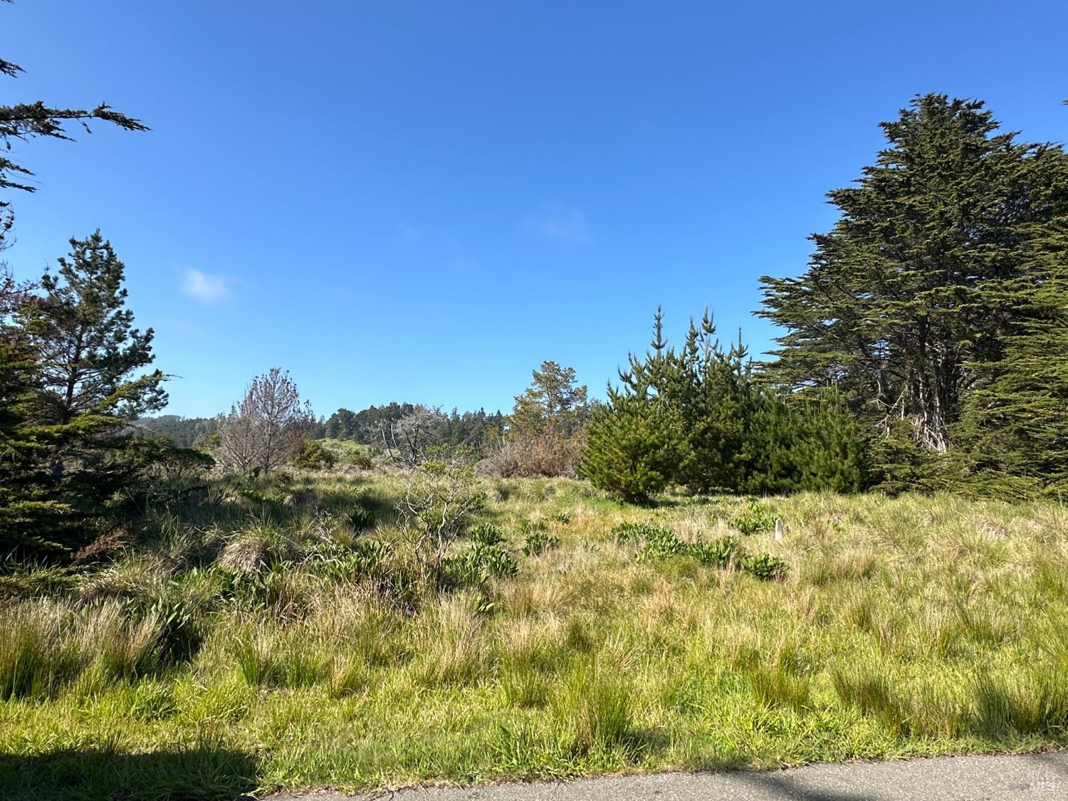 135 Shepherds Close The Sea Ranch CA 95497