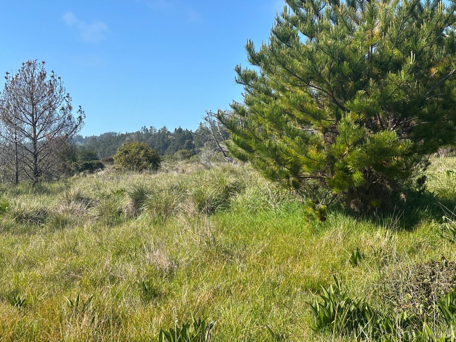 135 Shepherds Close The Sea Ranch CA 95497