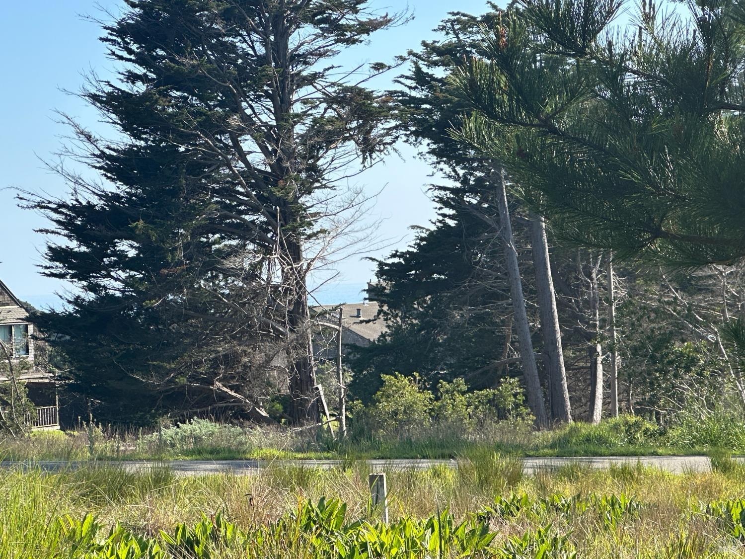 135 Shepherds Close The Sea Ranch CA 95497