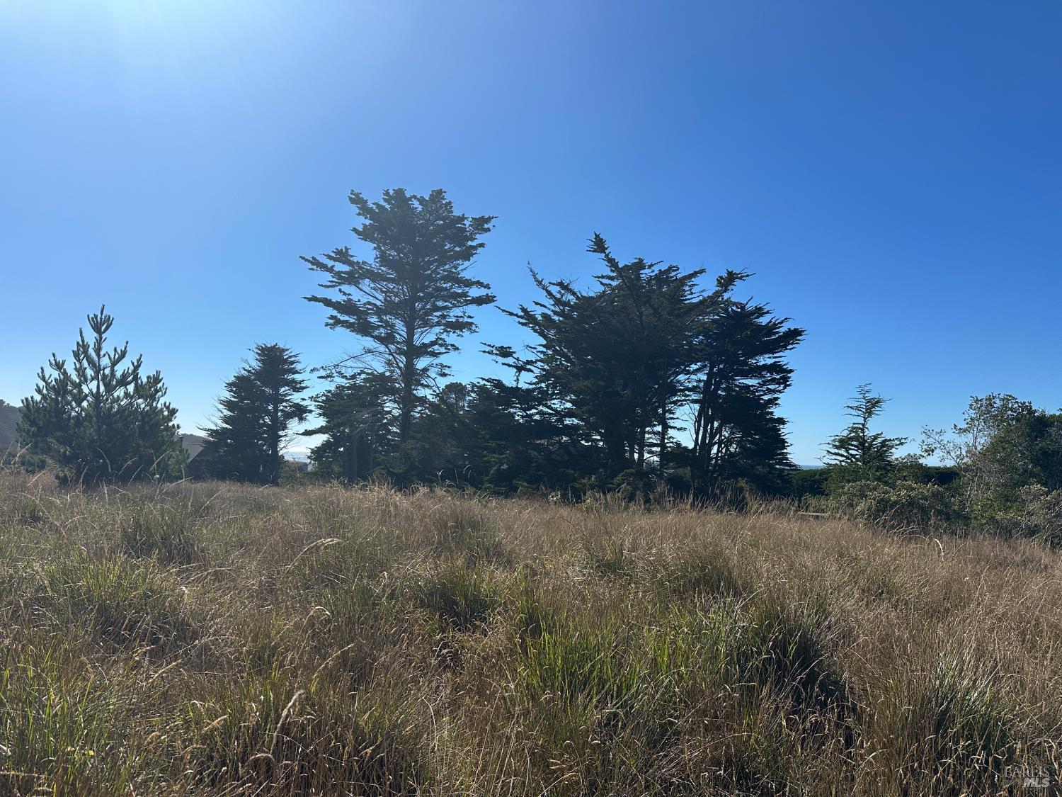 135 Shepherds Close The Sea Ranch CA 95497