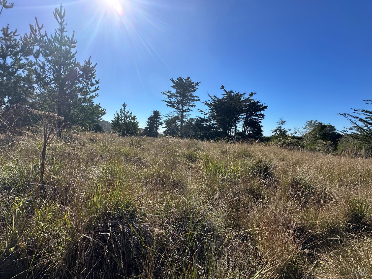 135 Shepherds Close The Sea Ranch CA 95497