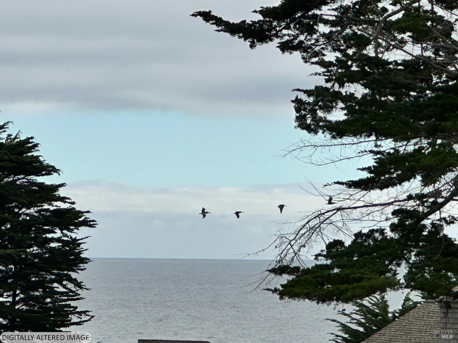 135 Shepherds Close The Sea Ranch CA 95497