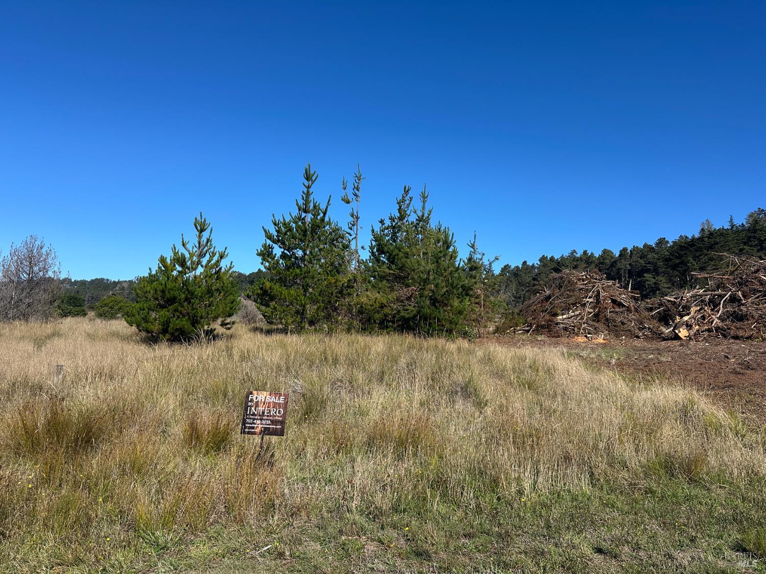 135 Shepherds Close The Sea Ranch CA 95497