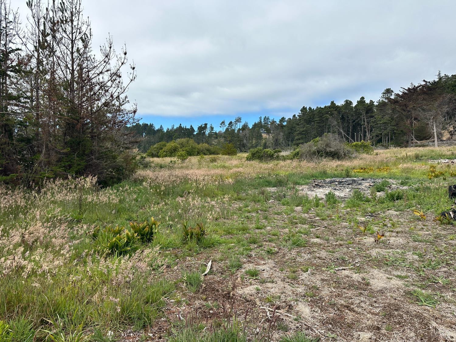 135 Shepherds Close The Sea Ranch CA 95497