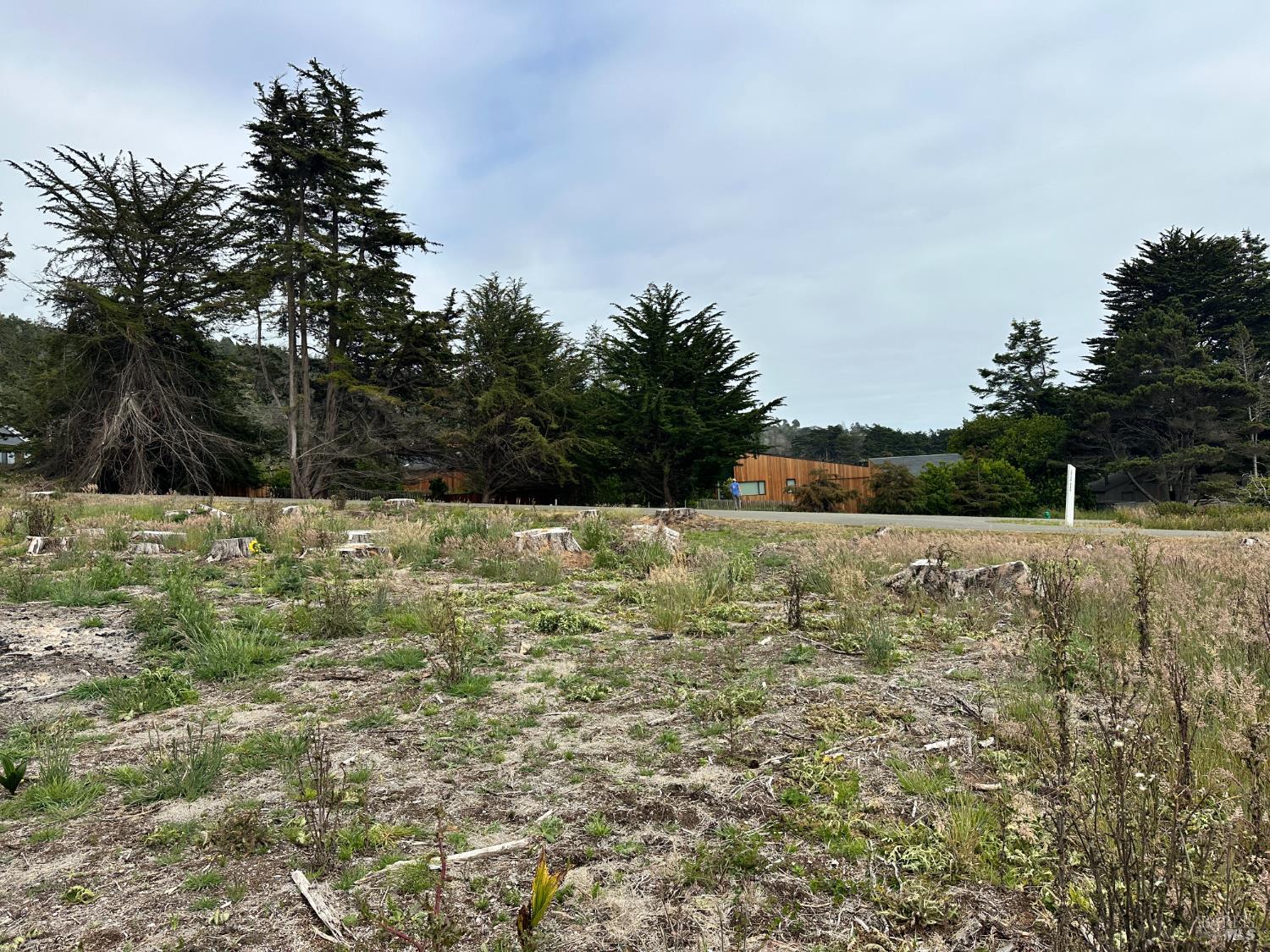 135 Shepherds Close The Sea Ranch CA 95497