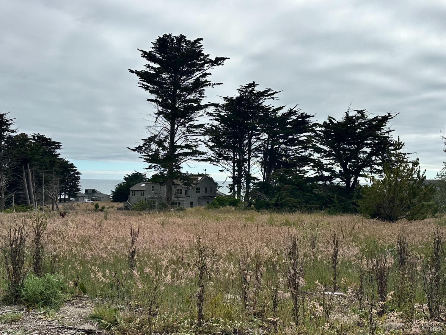 135 Shepherds Close The Sea Ranch CA 95497