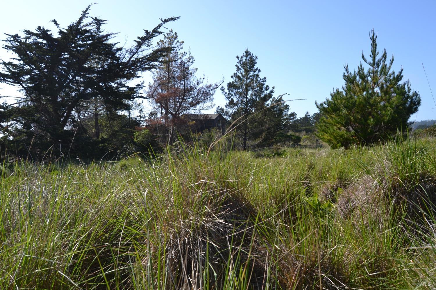 135 Shepherds Close The Sea Ranch CA 95497