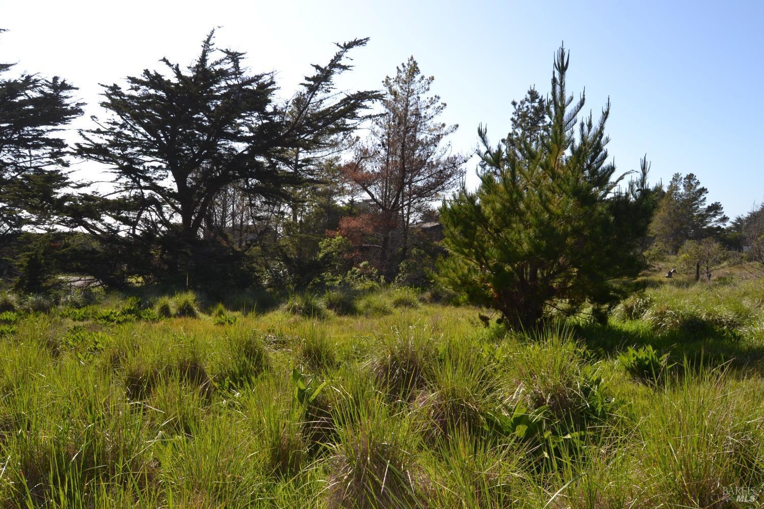 135 Shepherds Close The Sea Ranch CA 95497